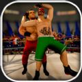 摔跤革命混乱3D官方版手机游戏 v1.0