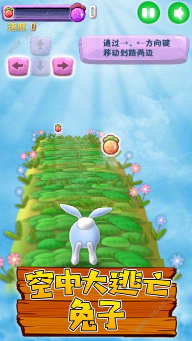 兔子快跑无敌版官方免费下载游戏图片3
