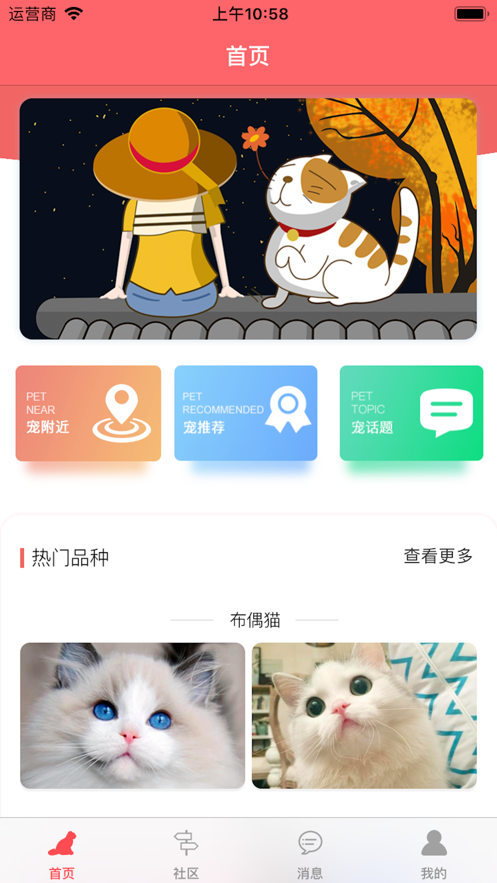 亲爱的猫咪app官方手机版图片1