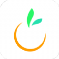 橙宝网app下载安装苹果版本