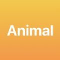 Animal Plus v1.1