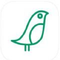 飞鸽社交app官方版软件下载 v1.0.1