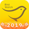 小鸟观映官方下载手机版app客户端 v1.1.0
