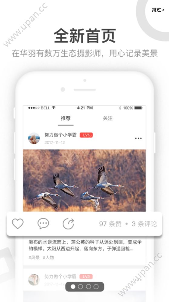 华羽生态摄影论坛网官方平台下载手机版app图片1