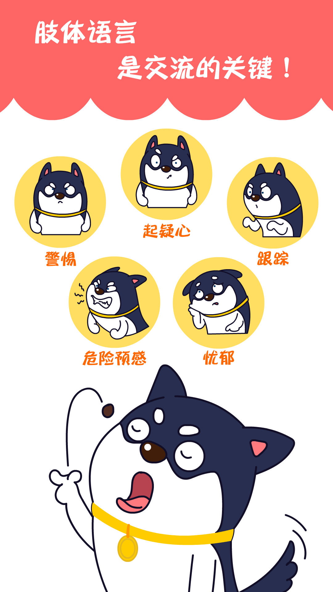 训狗养狗助手宠物社区app官方手机版下载图3: