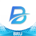 BRU币元网app交易平台官方版下载 v0.0.47