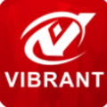 VIBRANT区块链app