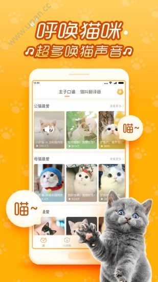逗猫咪app官方版下载图片1
