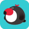 犀鸟公考app官方手机版下载 v5.1.0