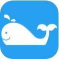 小鲸鱼网赚app手机版下载 v1.0