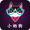小奶狗定制软件app官方版 v1.1.15