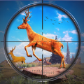 野鹿狩猎丛林射手免费版