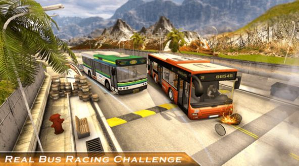 大型巴士模拟器游戏最新版图片2