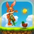 疯狂的兔子游戏安卓版 v1.3