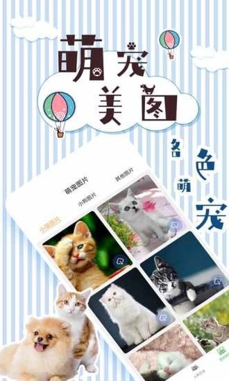 人猫翻译交流器app图1