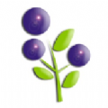 蓝莓资讯app官方手机版 v1.40