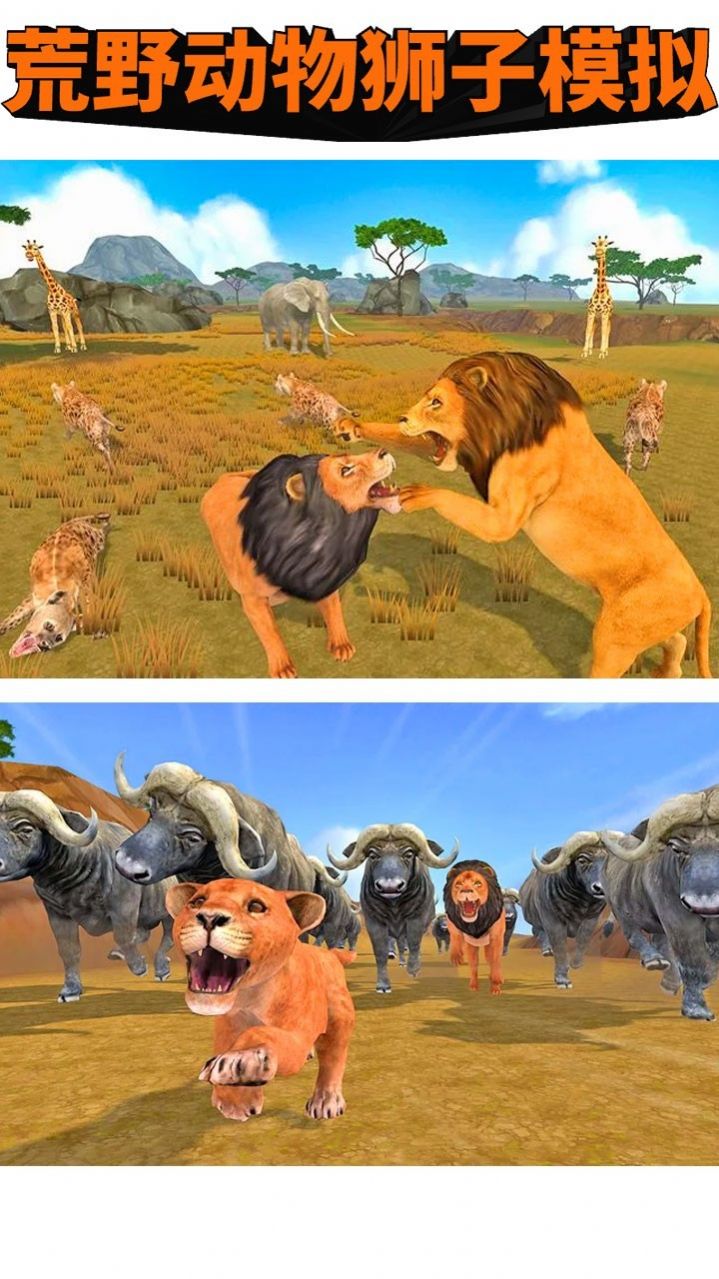 荒野动物狮子模拟游戏安卓版图片1