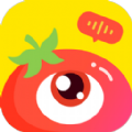 番茄派对游戏app v1.0.0