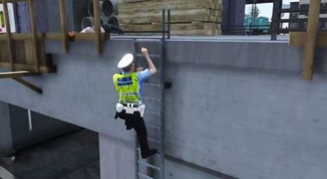 警察任务模拟器3D游戏图2