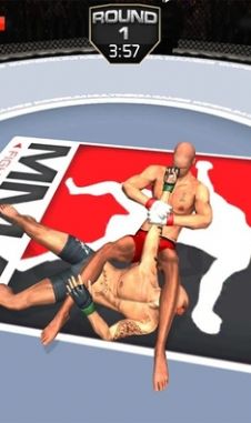 MMA格斗冲突3D游戏最新版图1: