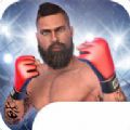 MMA格斗冲突3D最新版