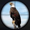 鸟类猎人狙击手3D游戏安卓版 v 1.0
