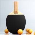 虚拟乒乓球随机球拍游戏官方版 v1.0