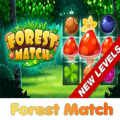 有趣的森林比赛游戏安卓版 v1.2