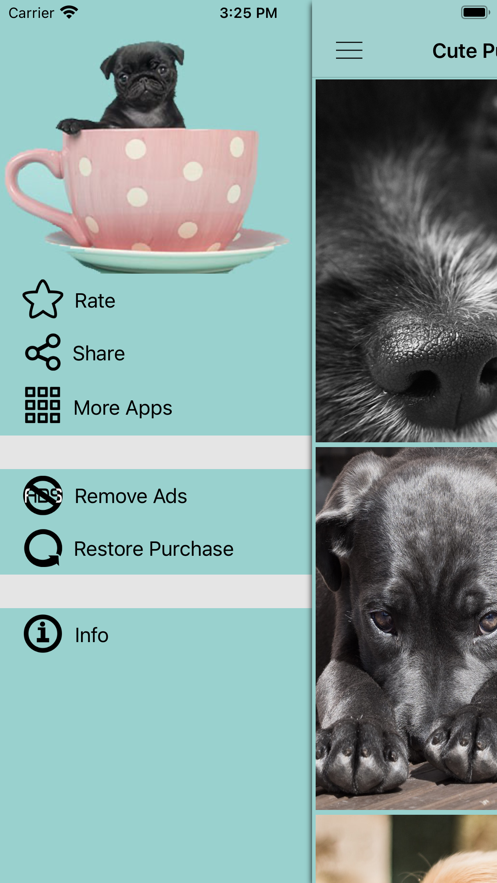 可爱的小狗壁纸高清官方版app图1: