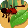 蚂蚁进化3d大树迷宫 v1.3