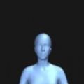 人体可视化模拟器中文版 v1.0