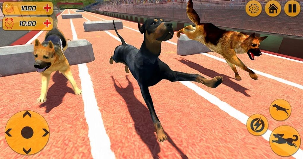 警犬跨栏冲刺游戏图1