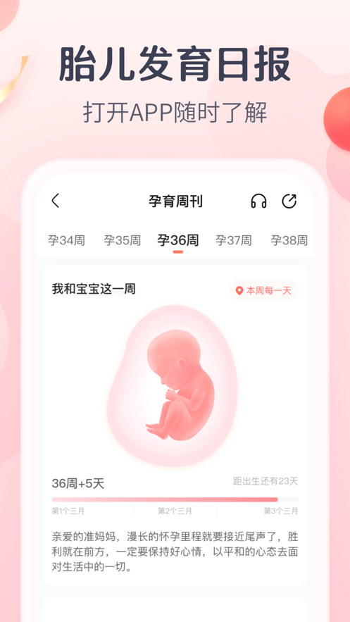 宝宝树孕育官方免费app图2: