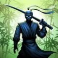 忍者勇士传奇游戏手机版（Ninja Warrior）图2: