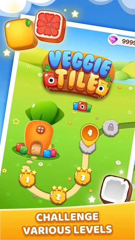 蔬菜方块拼图游戏中文版(Veggie Tile)图2:
