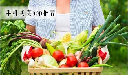 西安买菜app哪个好合集