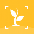 植物图鉴app官方版 v1.0