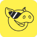 豪猪网极速版app软件 v7.1.0