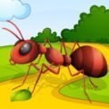 蚂蚁赛跑殖民地游戏