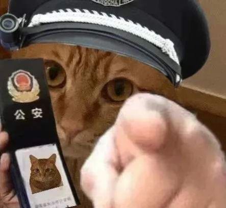 抖音上面很火的猫咪警察指人表情包图片1