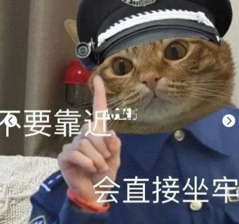 抖音上面很火的猫咪警察指人表情包图3: