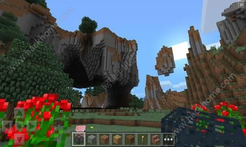 我的世界Minecraft基岩版1.17.20.23最新版图2