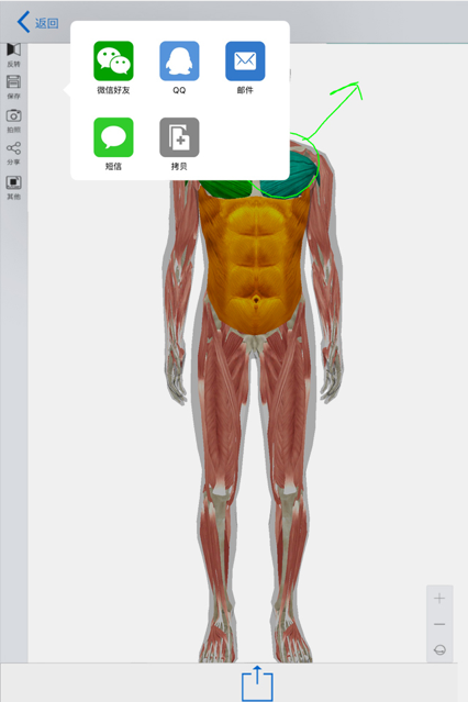 3d人体模型医生专用软件手机版图片1