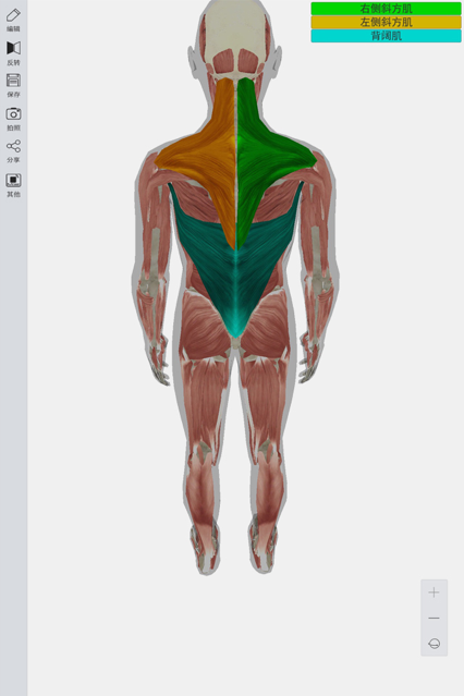 3d人体模型医生专用软件手机版图片2