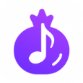 石榴音乐app安卓版 v1.0.2