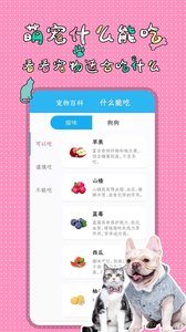 人猫人狗翻译交流器app官方版图1:
