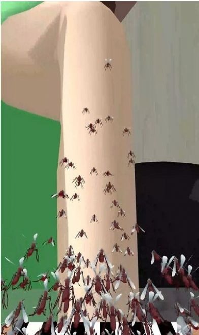 蚊子贼多小游戏最新版图片1