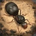 小小蚁国国际服下载安装官方版（The Ants） v3.0.0
