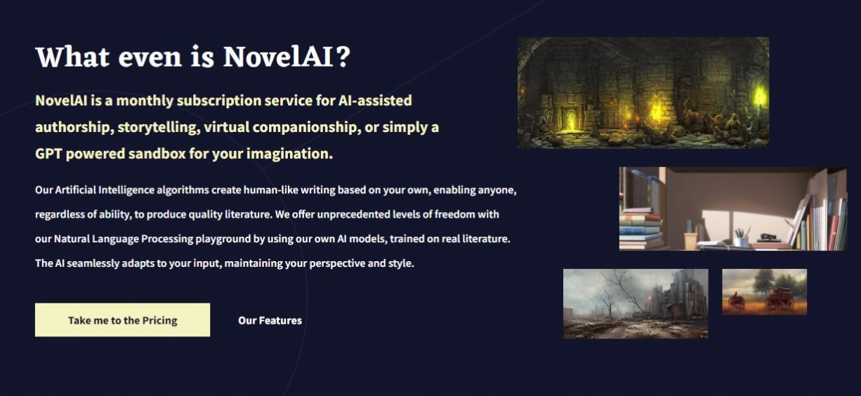 NovelAI绘画软件最新版下载安装图3: