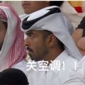 卡塔尔王子表情包关空调图片